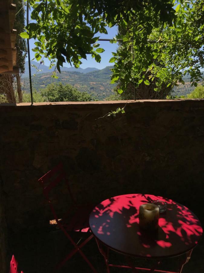 La Banditaccia Monticello Amiata Экстерьер фото