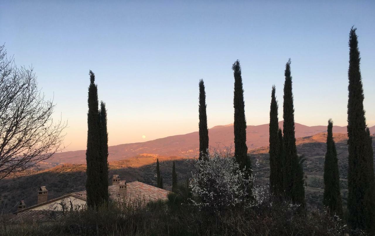 La Banditaccia Monticello Amiata Экстерьер фото