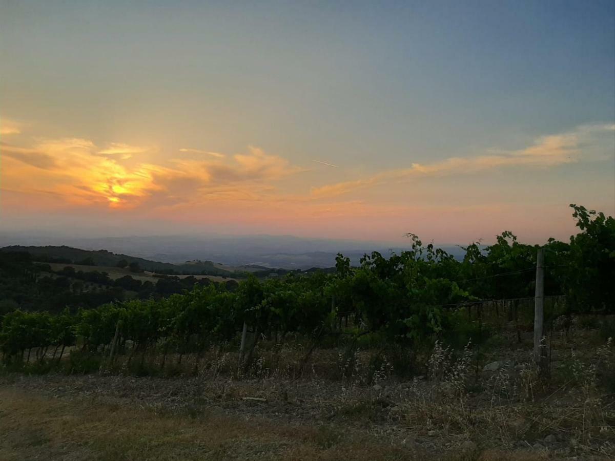 La Banditaccia Monticello Amiata Экстерьер фото