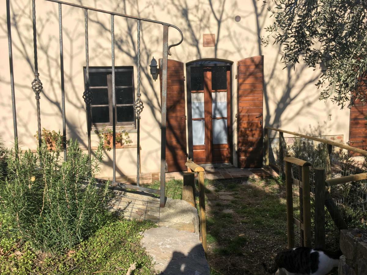 La Banditaccia Monticello Amiata Экстерьер фото
